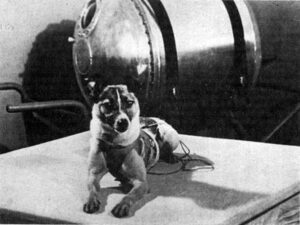 The First Dog to Travel into Space: Laika, a Symbol of Space Exploration